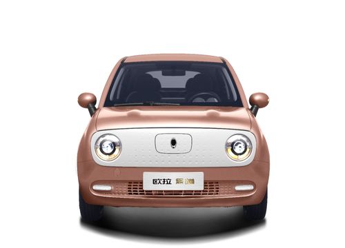 斗鱼汽车多少钱 斗鱼汽车多少钱