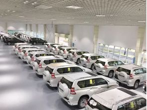 阿曼汽车有多少辆 阿曼汽车有多少辆