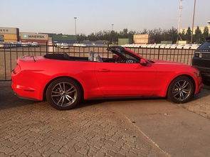 新疆野马汽车售价多少