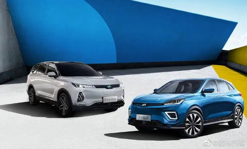 威马汽车能耗多少