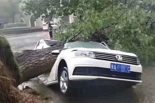 郑州汽车多少辆被淹 郑州汽车多少辆被淹