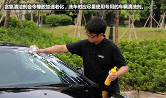 汽车雨刮器有多少尺寸 汽车雨刮器有多少尺寸