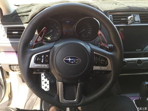 汽车vs老虎速度多少 汽车vs老虎速度多少