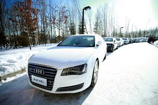 聊城奥迪汽车降价多少