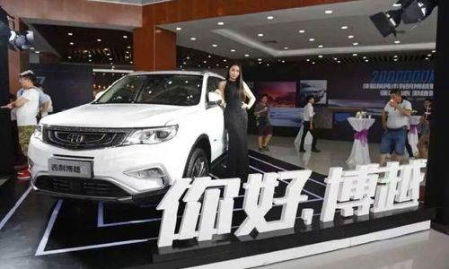 中国有多少汽车疯子 中国有多少汽车疯子