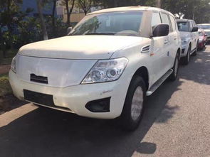 无疆汽车多少钱