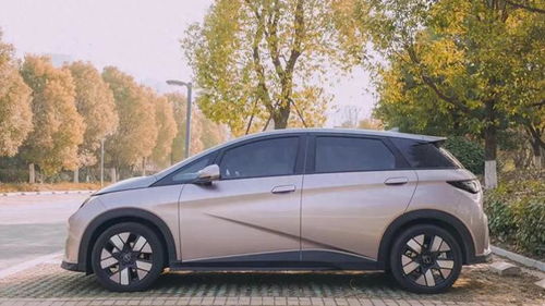 汽车落锁价格多少合适