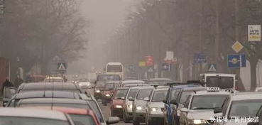 每年汽车排放多少废气