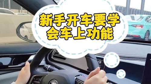 汽车陪练时薪多少