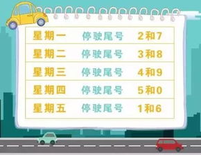 共有多少汽车限号