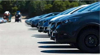 冰岛汽车销量多少