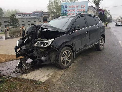 汽车撞树损失多少