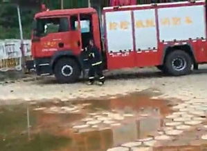 莱芜有多少辆汽车