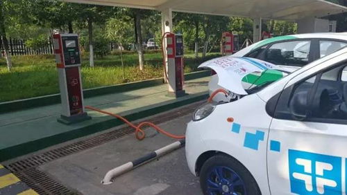 汽车租赁车辆多少辆