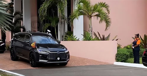 英国有多少比亚迪汽车