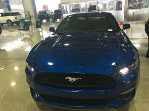 民国福特汽车油耗多少