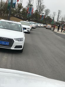 遂宁奥迪汽车估价多少