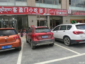 西藏汽车代理多少家