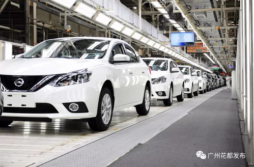 广东花都有多少汽车