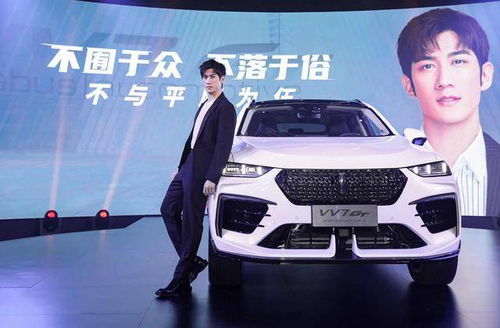 brabys汽车多少钱