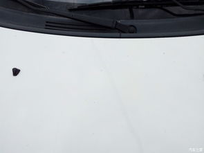 汽车限速警报多少合适 汽车限速警报多少合适