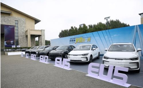 北京汽车赔了多少亿