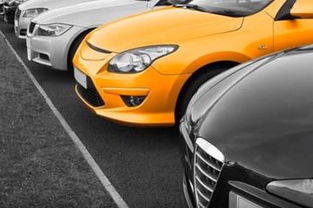 多少人不懂汽车