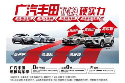 汽车政府补贴补多少