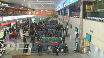 青岛春运汽车客流多少