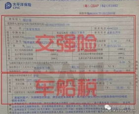 东莞汽车年审费多少