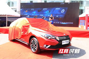 岳阳有多少台汽车