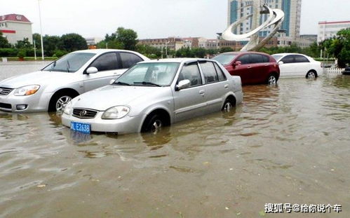 汽车涉水清洗费多少