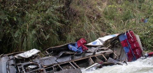 尼日尔的汽车有多少