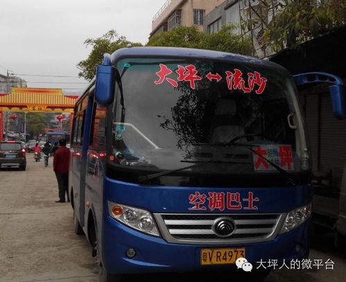 普宁流沙汽车多少辆