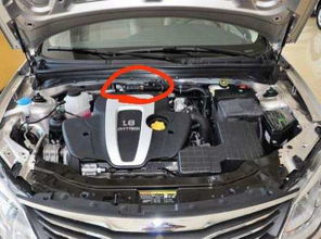 汽车机头号码多少