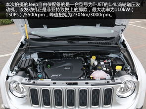 汽车虎头多少钱