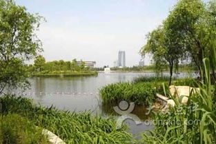 天目汽车公园门票多少