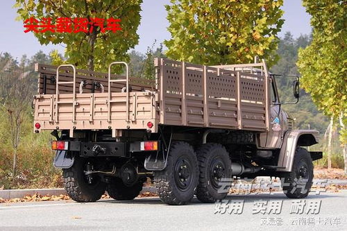 载货汽车最大货箱多少