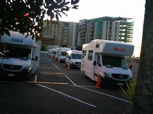 新西兰汽车总数多少台车