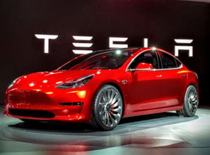 特斯拉汽车保费是多少