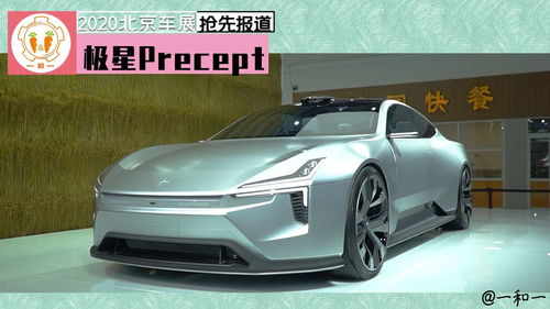 极星汽车售价多少