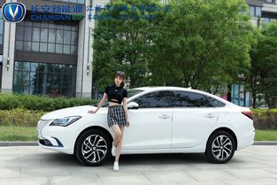 吉安汽车有多少辆