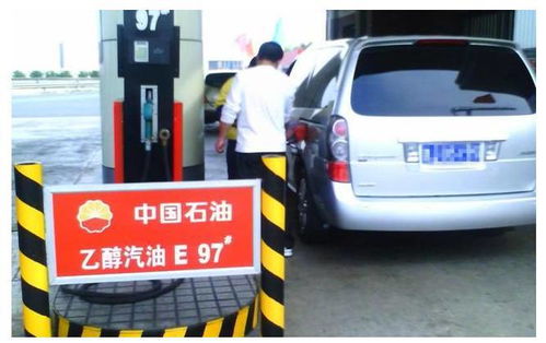 汽车分多少号油