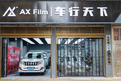 汽车装潢店单价多少