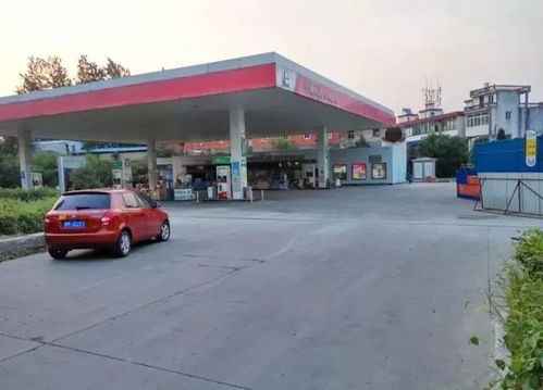 邯郸永年汽车油价多少