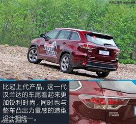 所有汽车人身高多少