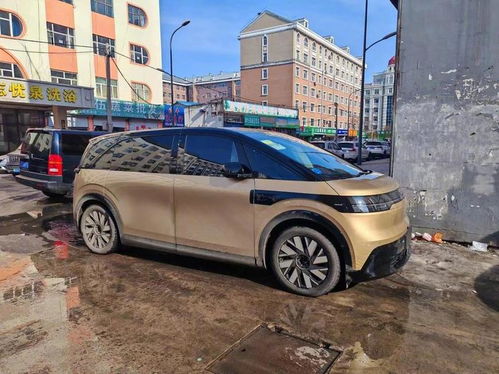 黑金汽车多少钱