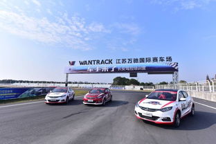 长安汽车赛道股价多少