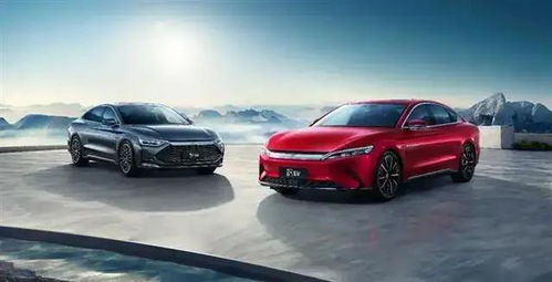 比亚迪汽车客单价多少