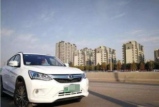 河南的汽车有多少